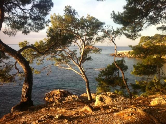 Le Hameau De La Crique De L'Anglaise Bandol Kültér fotó